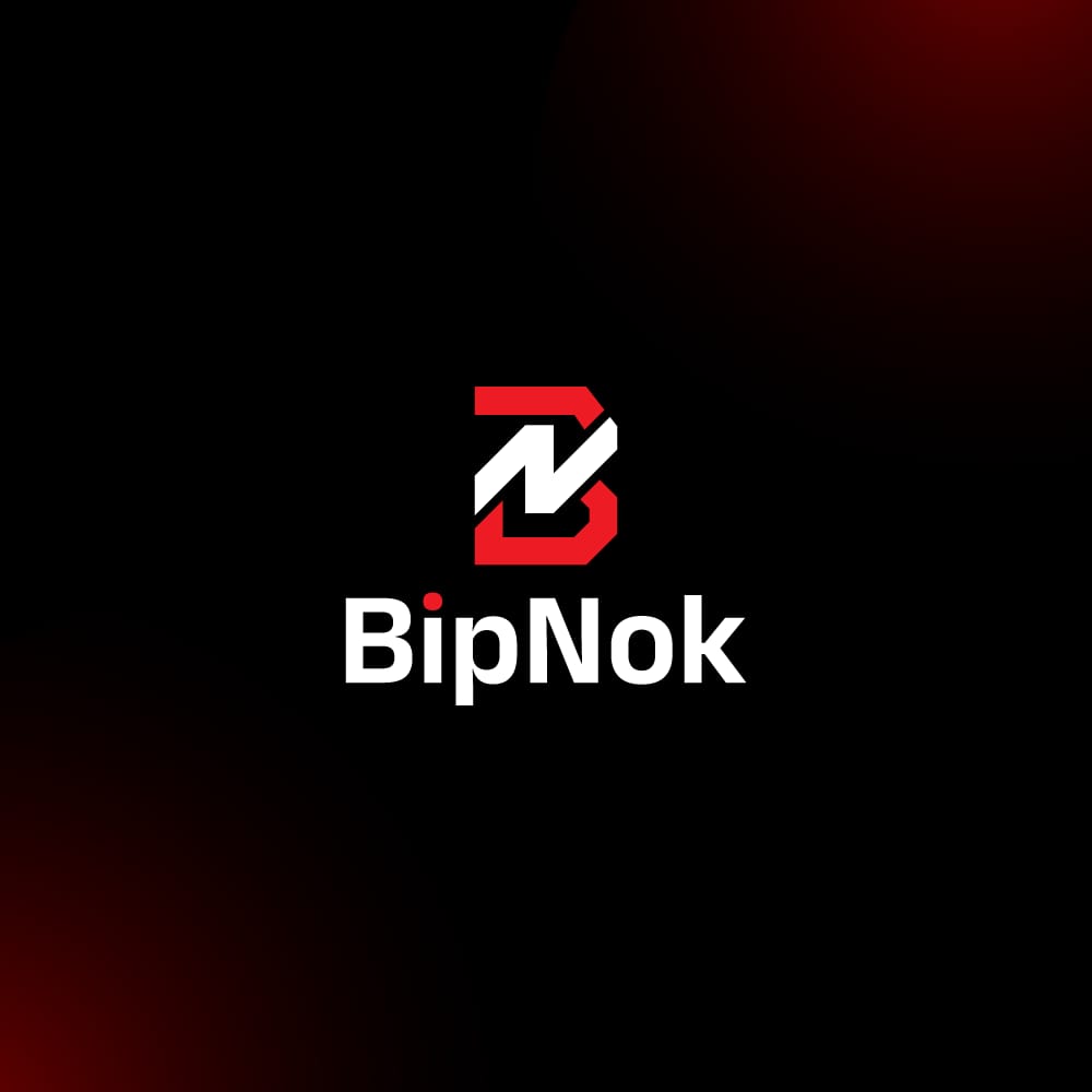 BipNok: Web Design Agency | Making Web Life Simple logo