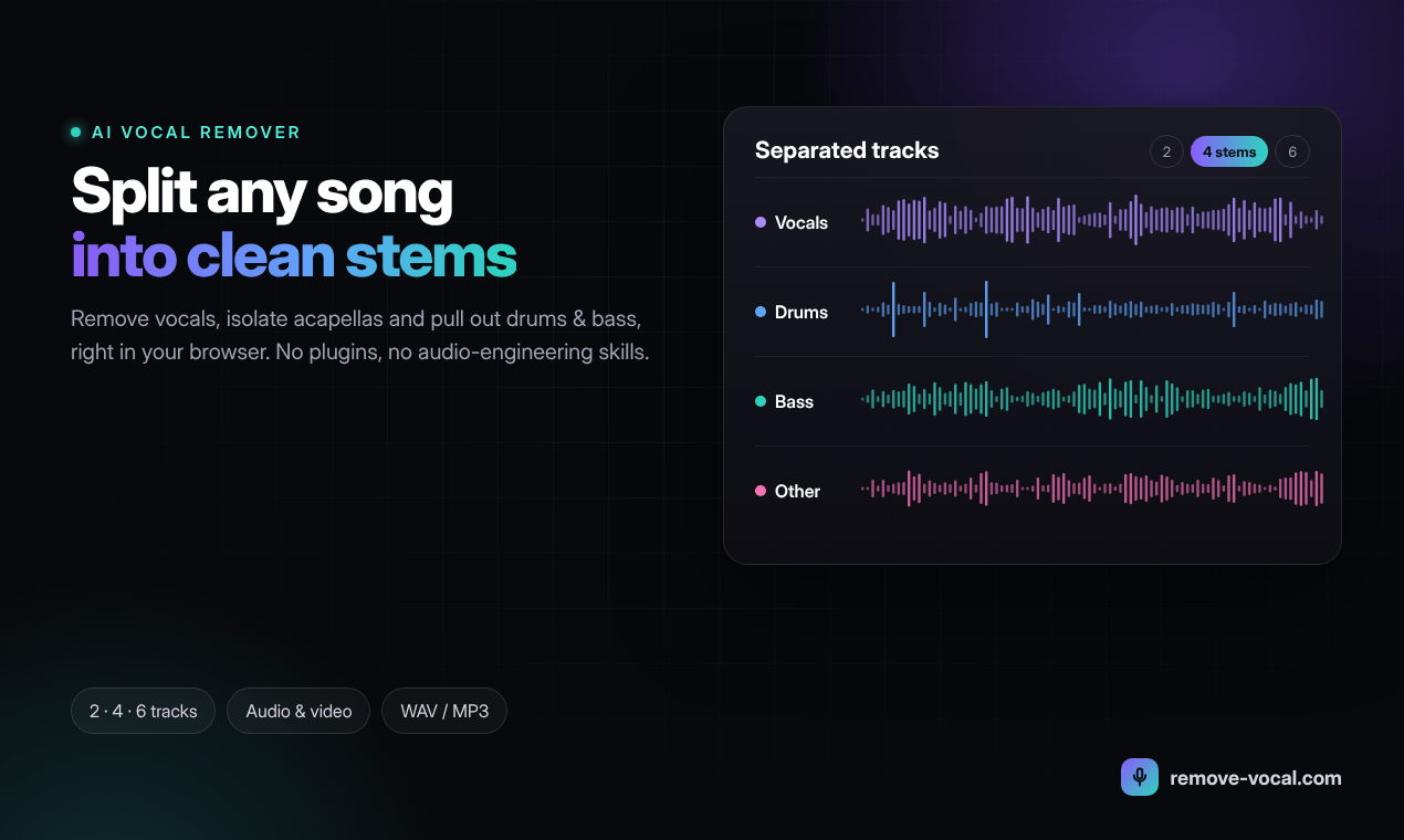 Remove Vocal screenshot 1