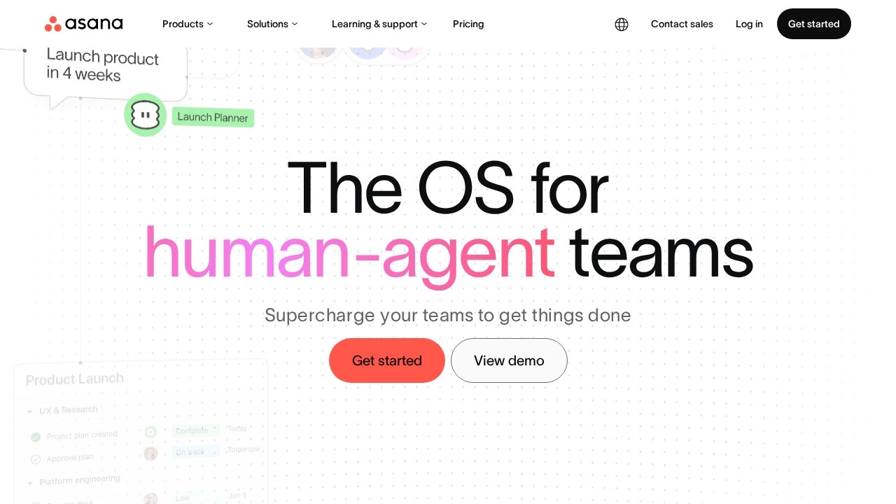 Asana screenshot 1