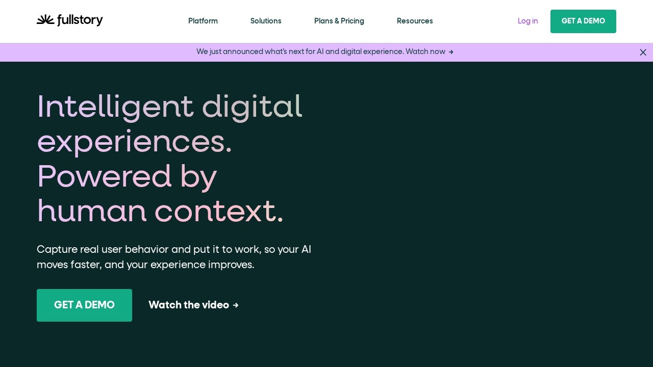 FullStory screenshot 1