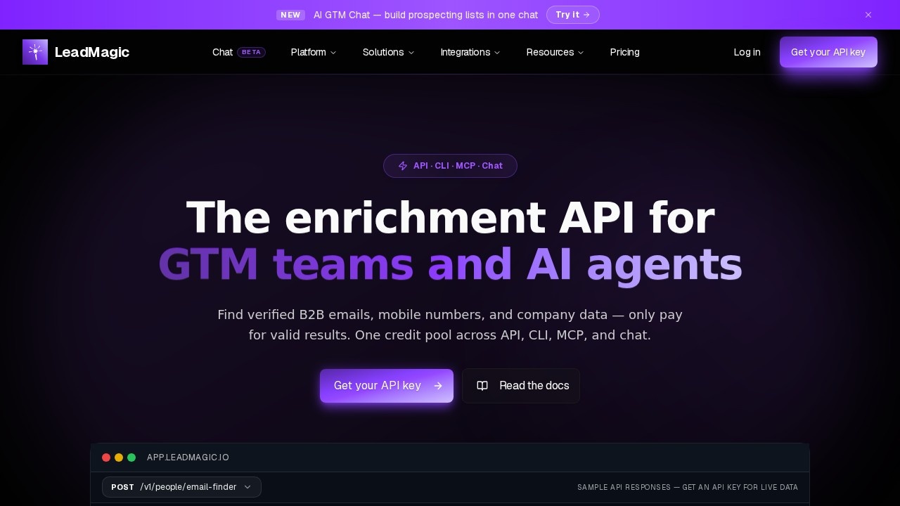 LeadMagic screenshot 1