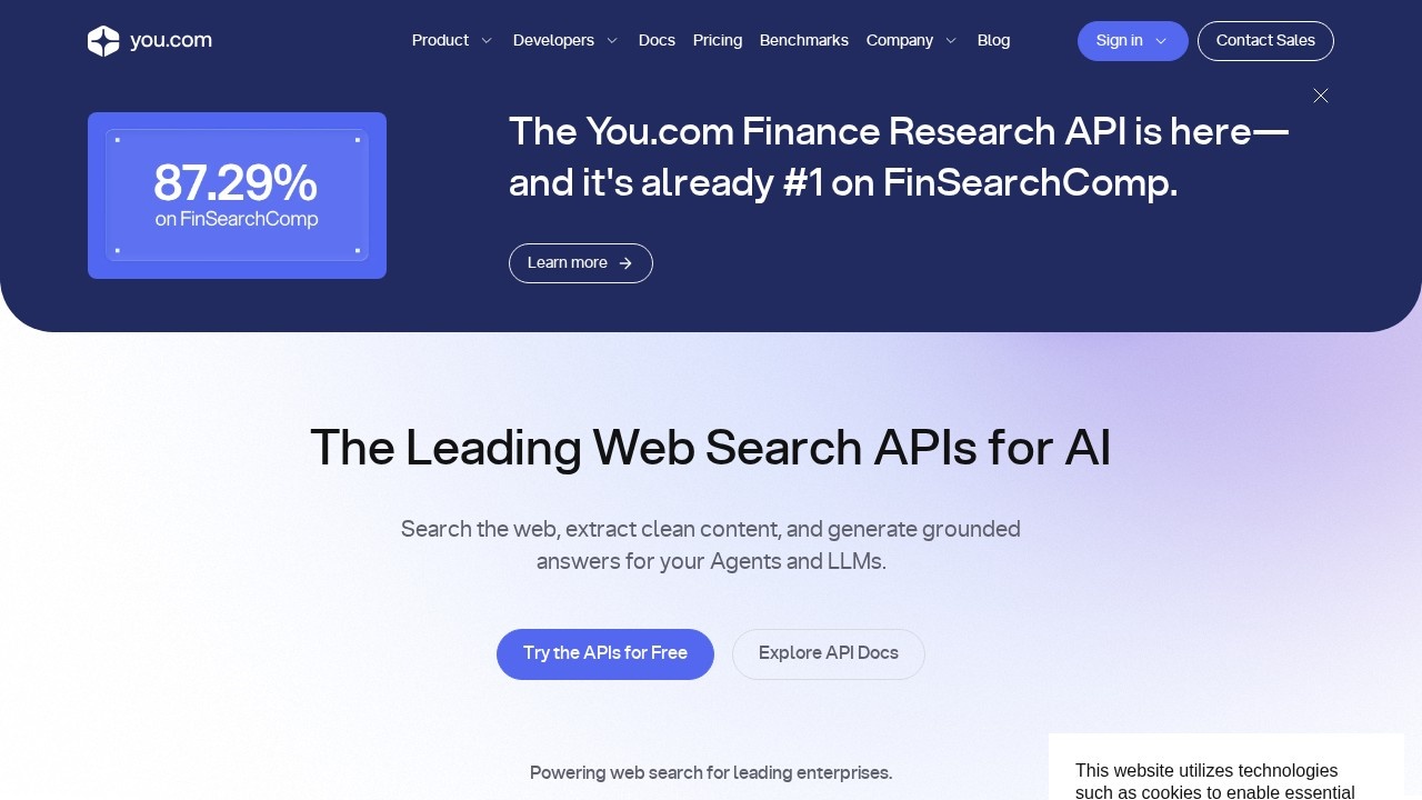 You.com screenshot 1