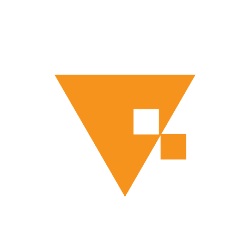 vNetra logo